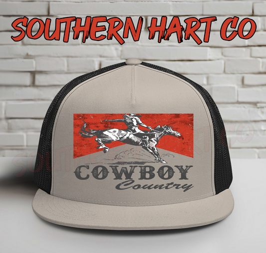 Cowboy Country Silver/Black Hat